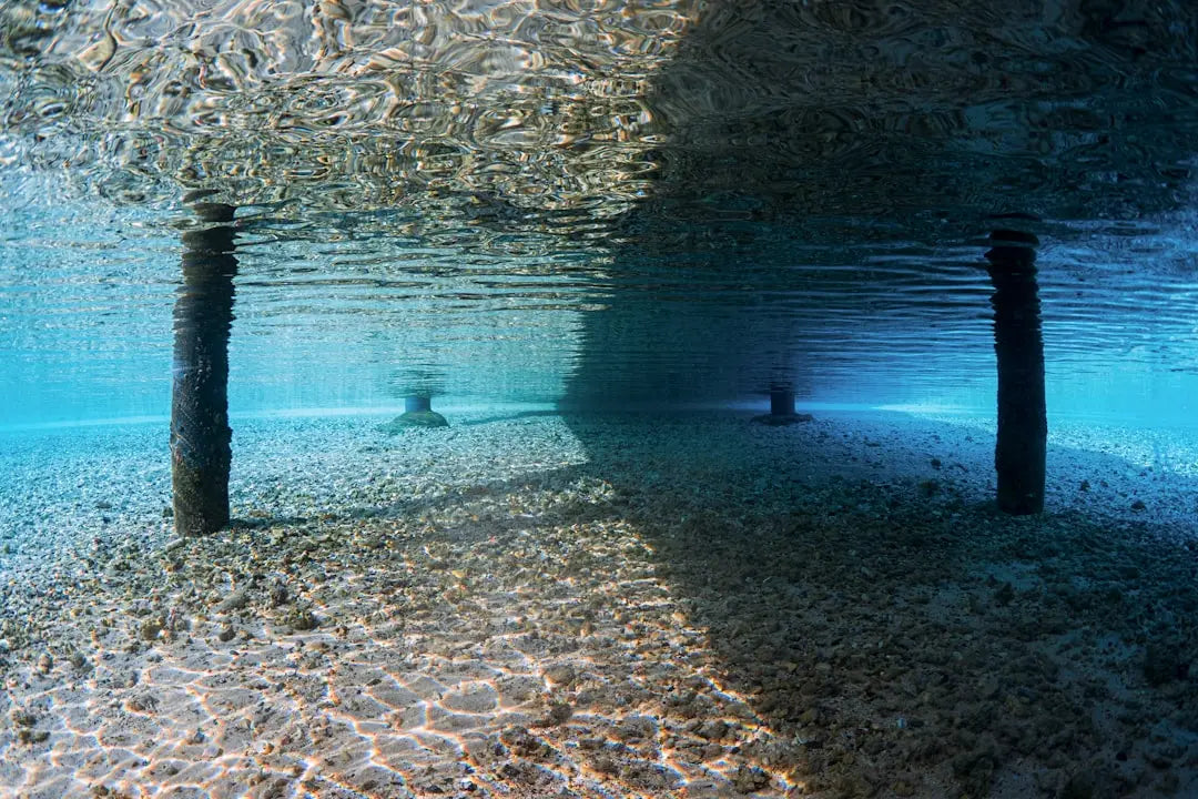 Unterwasserbilder Scharf Stellen: Techniken, Ausrüstung und Profi-Tipps