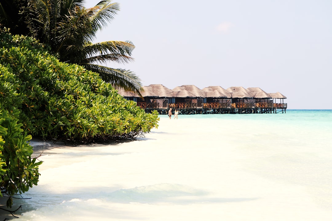 Tauchen in Malediven: Tipps für Einsteiger und Fortgeschrittene