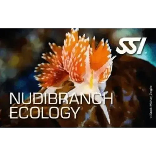 SSI Nudibranch Ecology course cover featuring a colorful nudibranch.