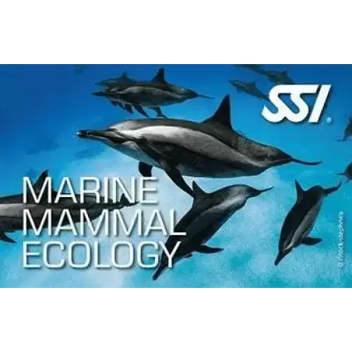 SSI Marine Mammal Ecology program cover featuring dolphins swimming underwater.