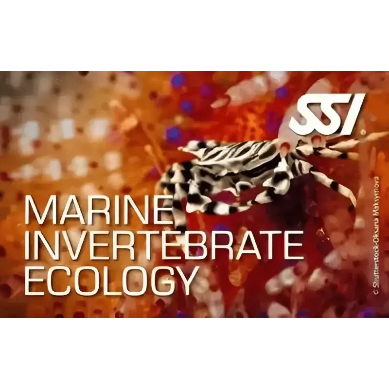 SSI Marine Invertebrate Ecology course cover showcasing marine life.