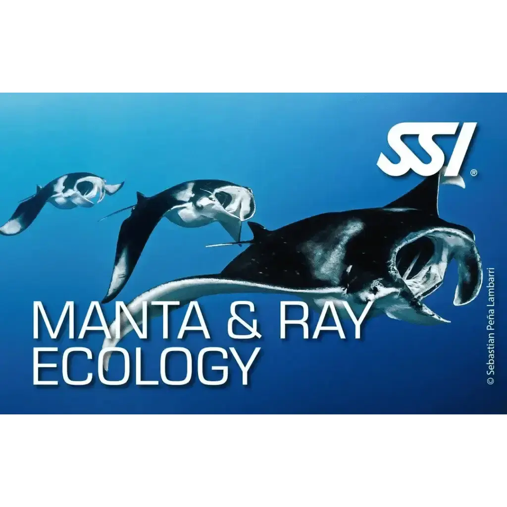 SSI Manta & Ray Ecology Kurs - Tauchwerkstatt.eu