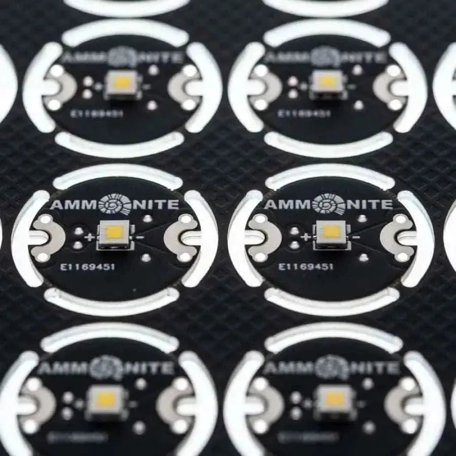 Ammonite LED One - Tauchwerkstatt.eu