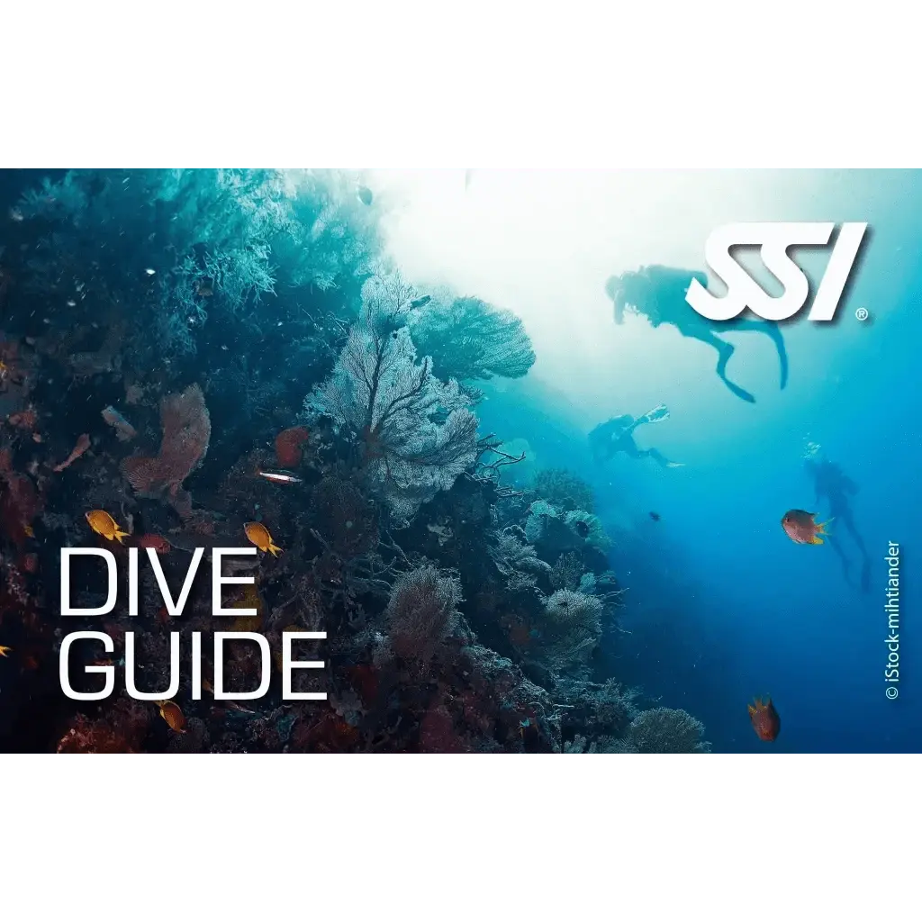 SSI Dive Guide VIP Kurs - Tauchwerkstatt.eu