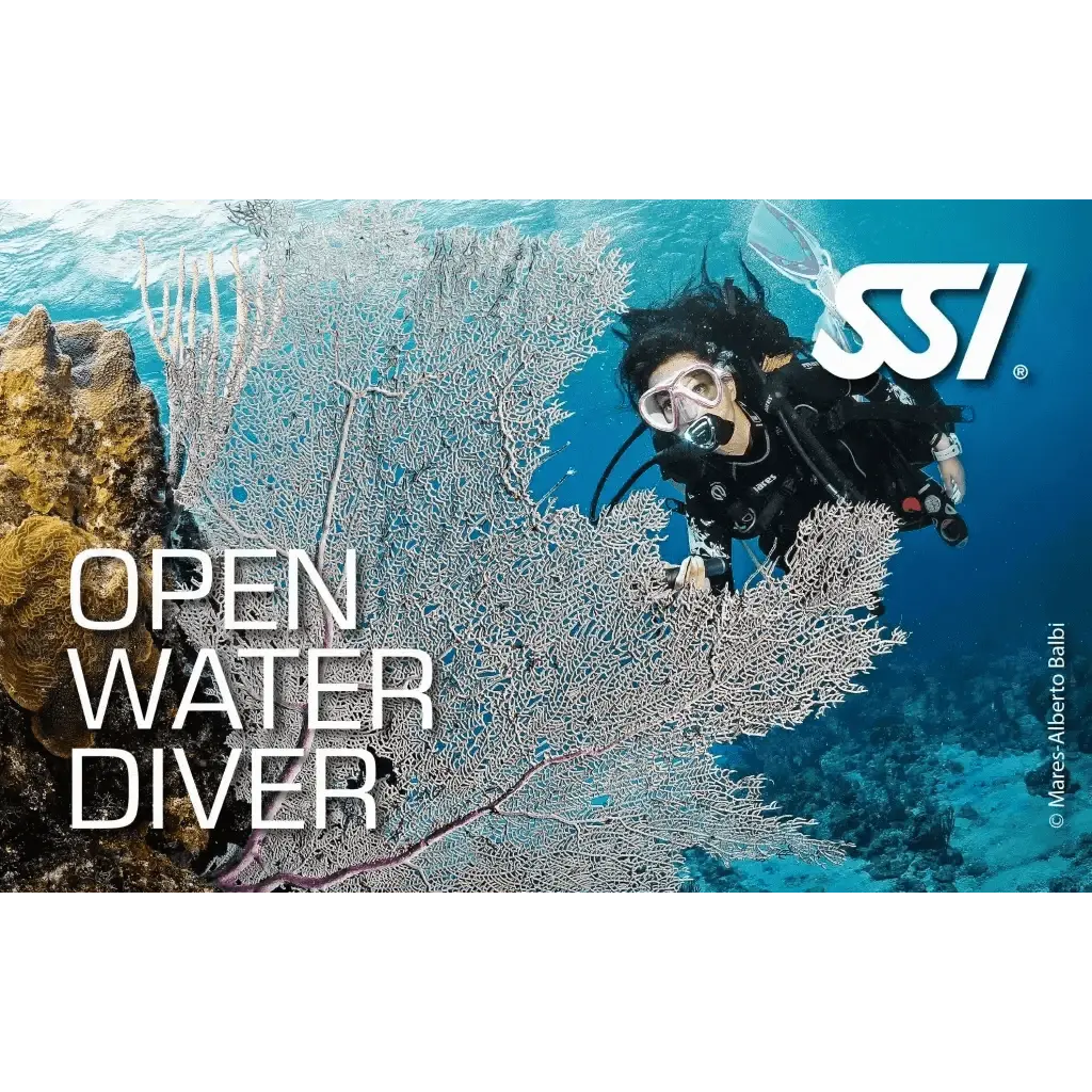 SSI Open Water Diver (OWD) Friends&Family VIP Kurs - Tauchwerkstatt.eu