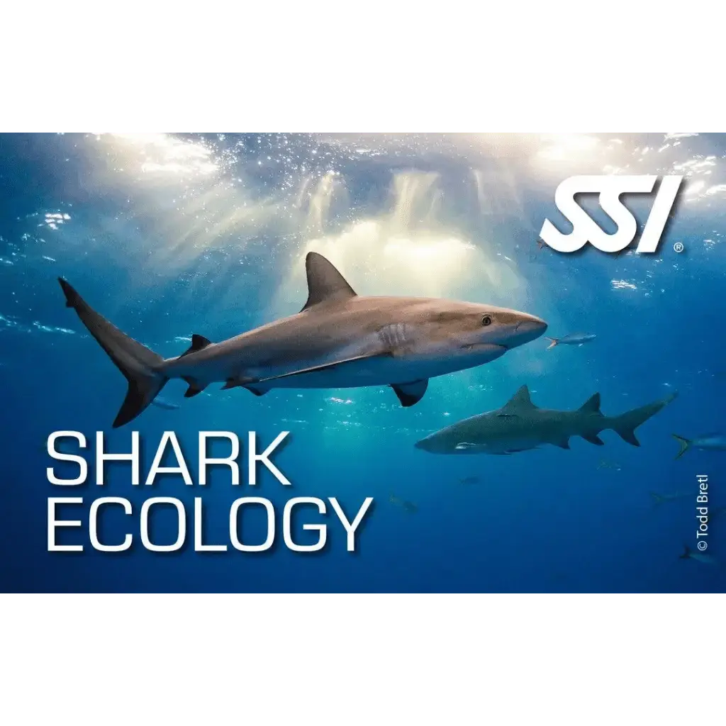 SSI Shark Ecology Kurs - Tauchwerkstatt.eu