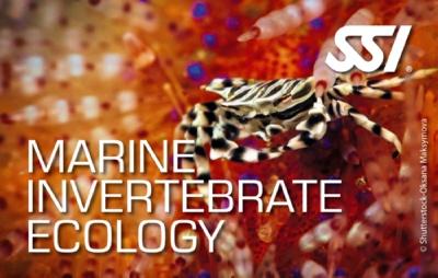 SSI Marine Invertebrate Ecology