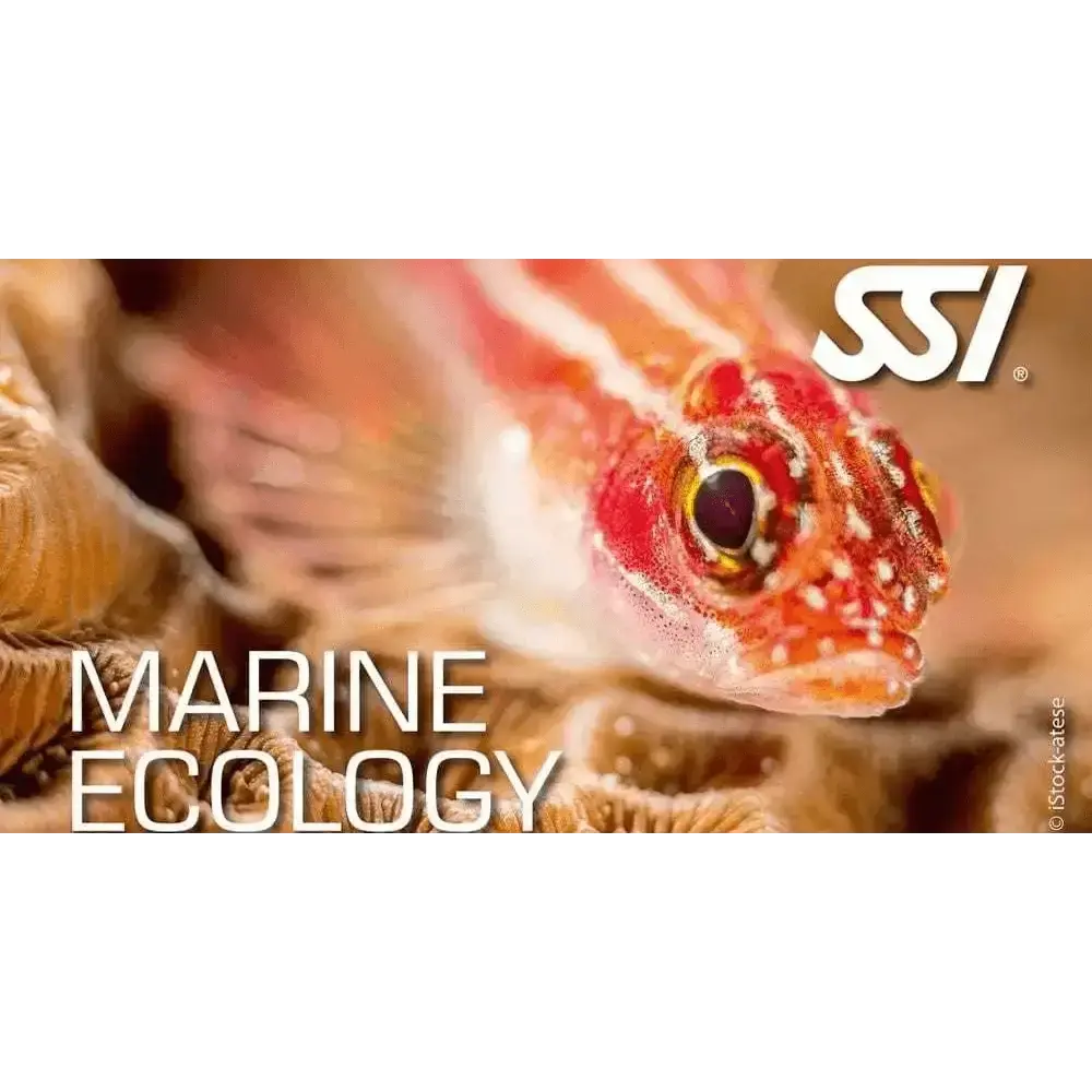 SSI Marine Ecology Kurs - Ausbildung