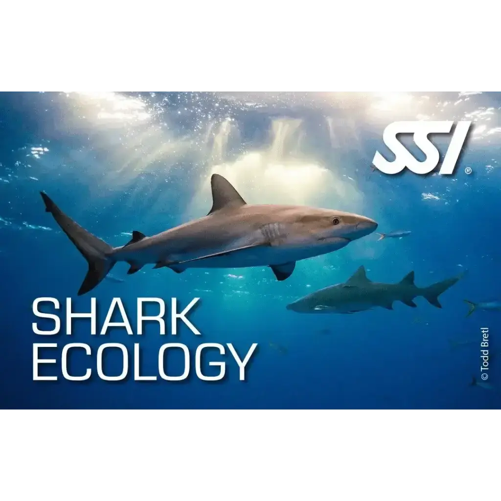 SSI Shark Ecology Kurs - Tauchwerkstatt.eu