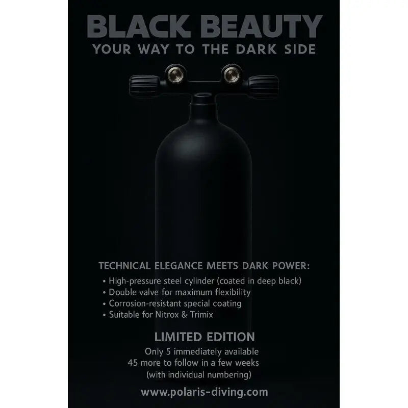 ECS 12L lang/232 bar Stahl TG konkav ( matt schwarz ) mit Twinventill (Black Beauty) Polaris