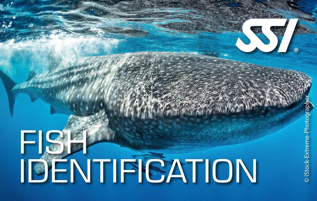 SSI Fish Identification Ecology Kurs - Tauchwerkstatt.eu