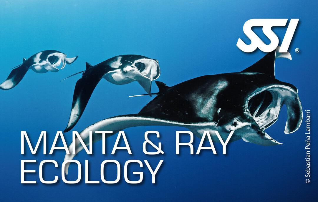 SSI Manta & Ray Ecology Kurs - Tauchwerkstatt.eu