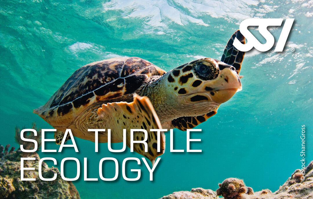 SSI Sea Turtle Ecology Kurs - Tauchwerkstatt.eu