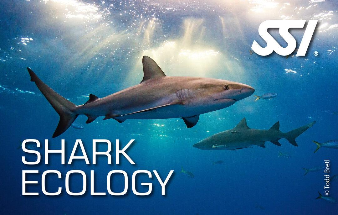 SSI Shark Ecology Kurs - Tauchwerkstatt.eu