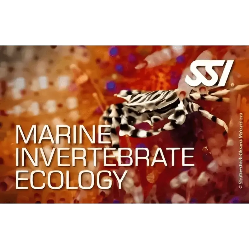 SSI Marine Invertebrate Ecology course cover showcasing marine life.