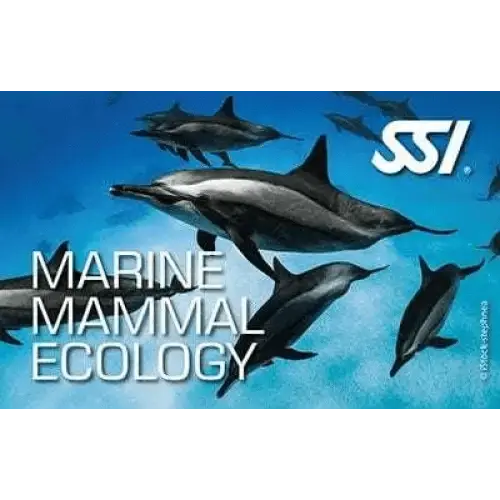 SSI Marine Mammal Ecology program cover featuring dolphins swimming underwater.