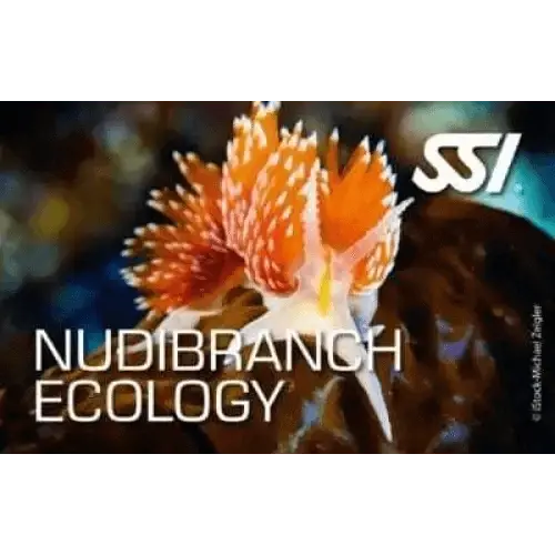 SSI Nudibranch Ecology course cover featuring a colorful nudibranch.