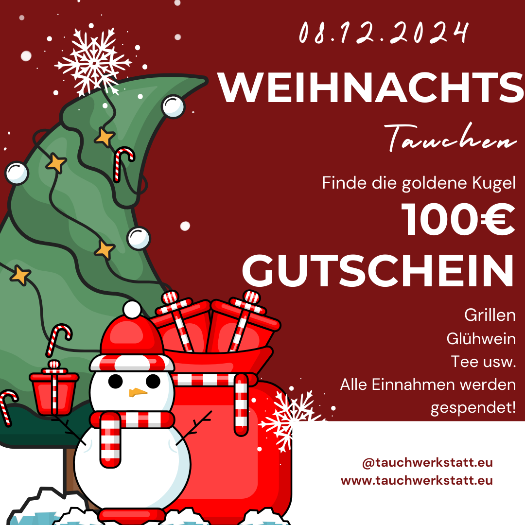 Ticket zum Weihnachtstauchen am 08.12.2024