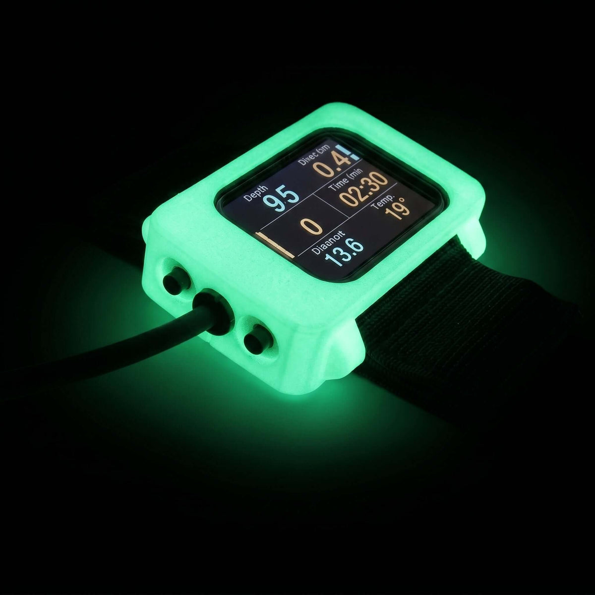 Hülle für Divesoft Liberty Controller