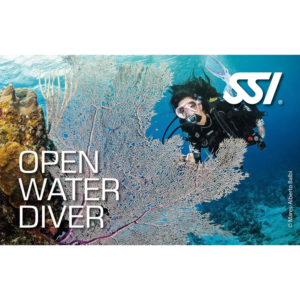 SSI Open Water Diver (OWD) VIP Kurs - Tauchwerkstatt.eu